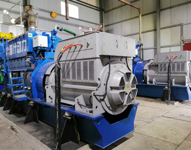 Проект по производству электроэнергии на биогазе Fengdu Gantai оснащен 2 высоковольтными генераторами EvoTec мощностью 850 кВт / 10,5 кВ / 6 полюсами