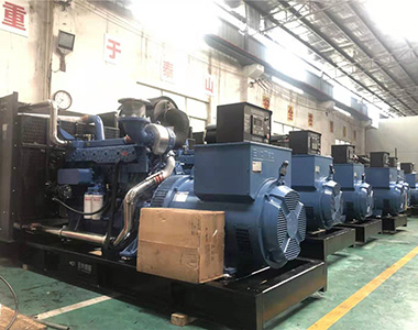 Генератор землепользования EvoTec 500 кВт / 400 В, примененный в проекте разведения