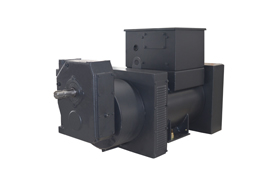 IP44 Special Customized Generator TCU228 50/5313kVA，400/480V，50/60Hz，4Pole