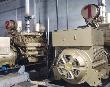 3 x 900 кВт / 10,5 кВ / 1000 об/мин 6-полюсные высоковольтные генераторы - Северо-западный проект газовой генерации